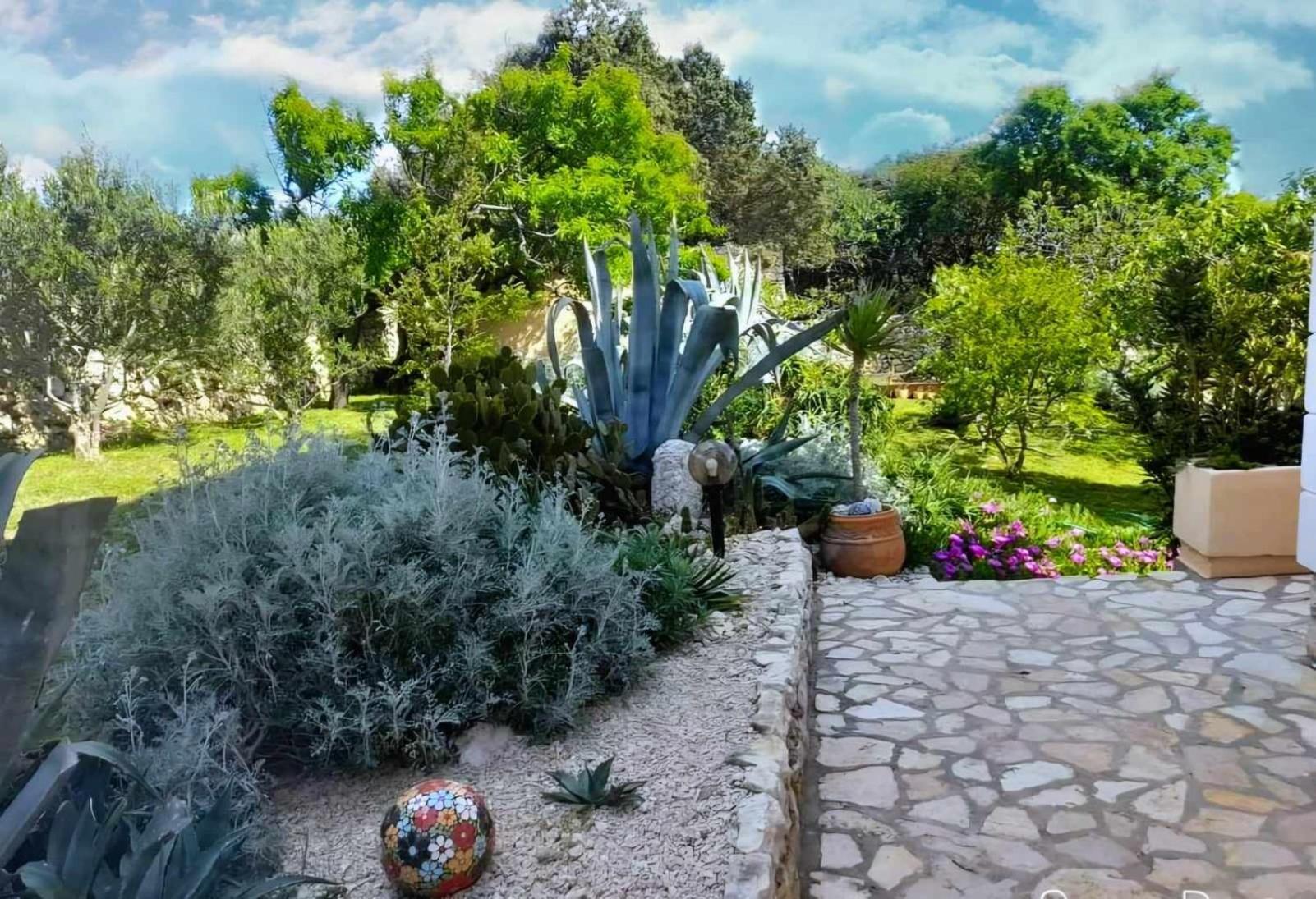 Villa Cesarica Novalja Exteriör bild