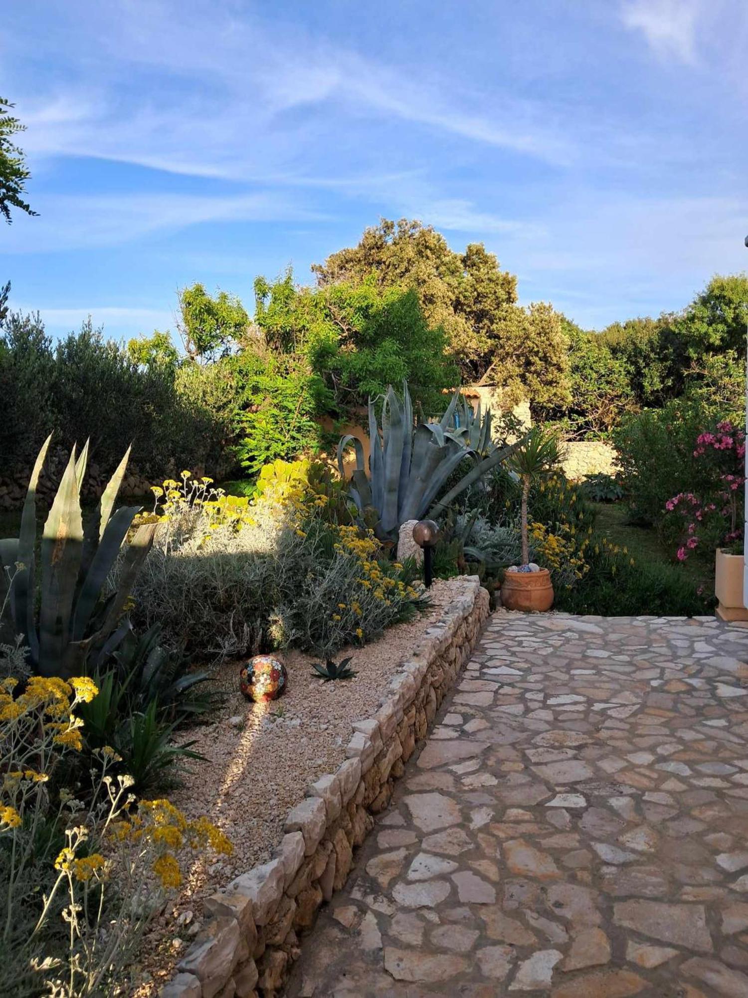 Villa Cesarica Novalja Exteriör bild