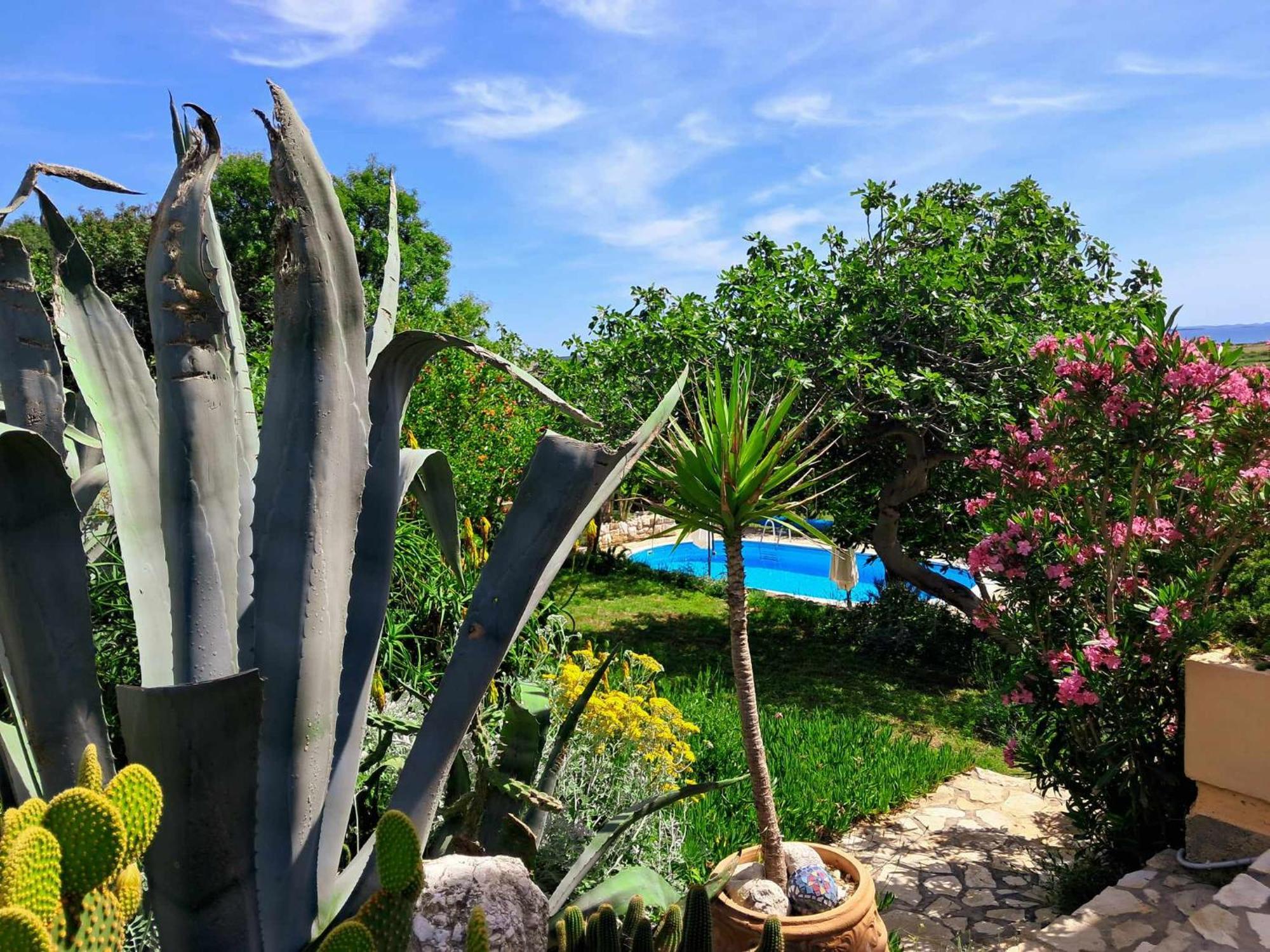 Villa Cesarica Novalja Exteriör bild